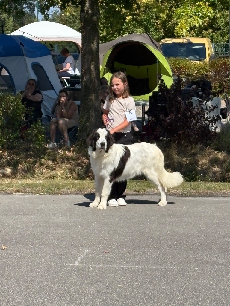 Alpha Du Domaine Du Boutlande