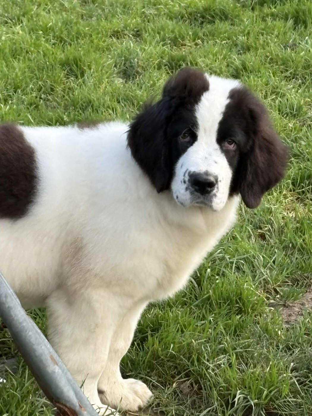 Aube Du Domaine Du Boutlande