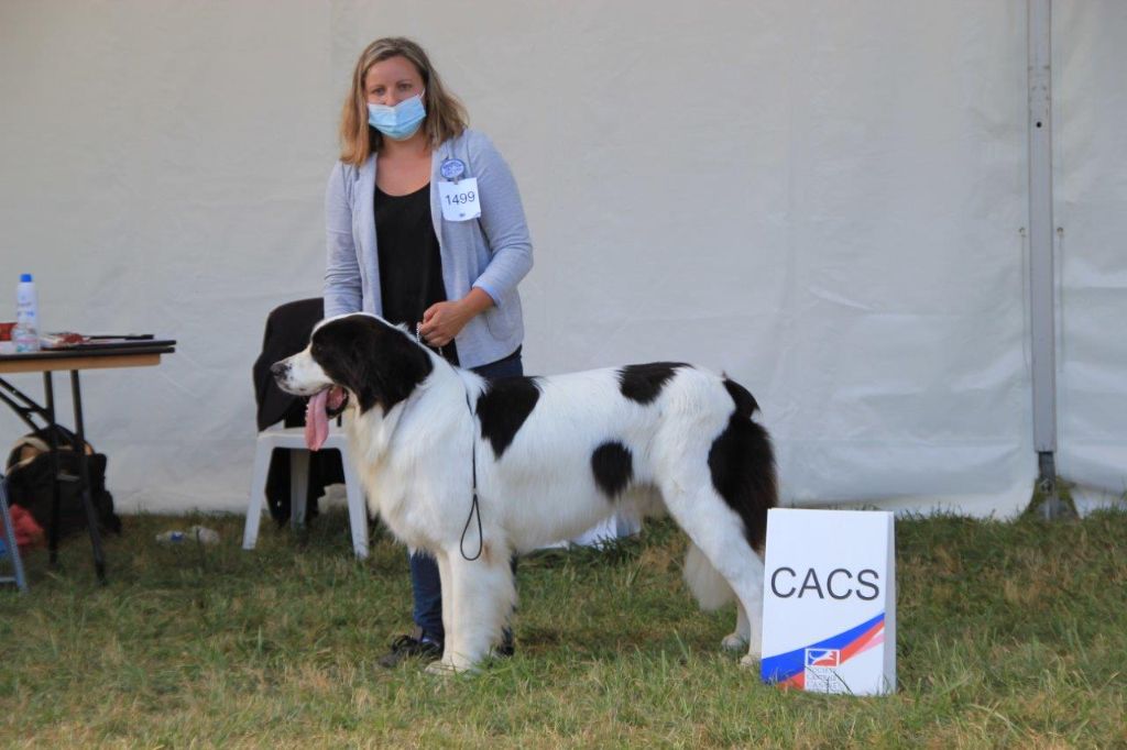 Du Domaine Du Boutlande - Cooper gagne sa place au salon de l'agriculture