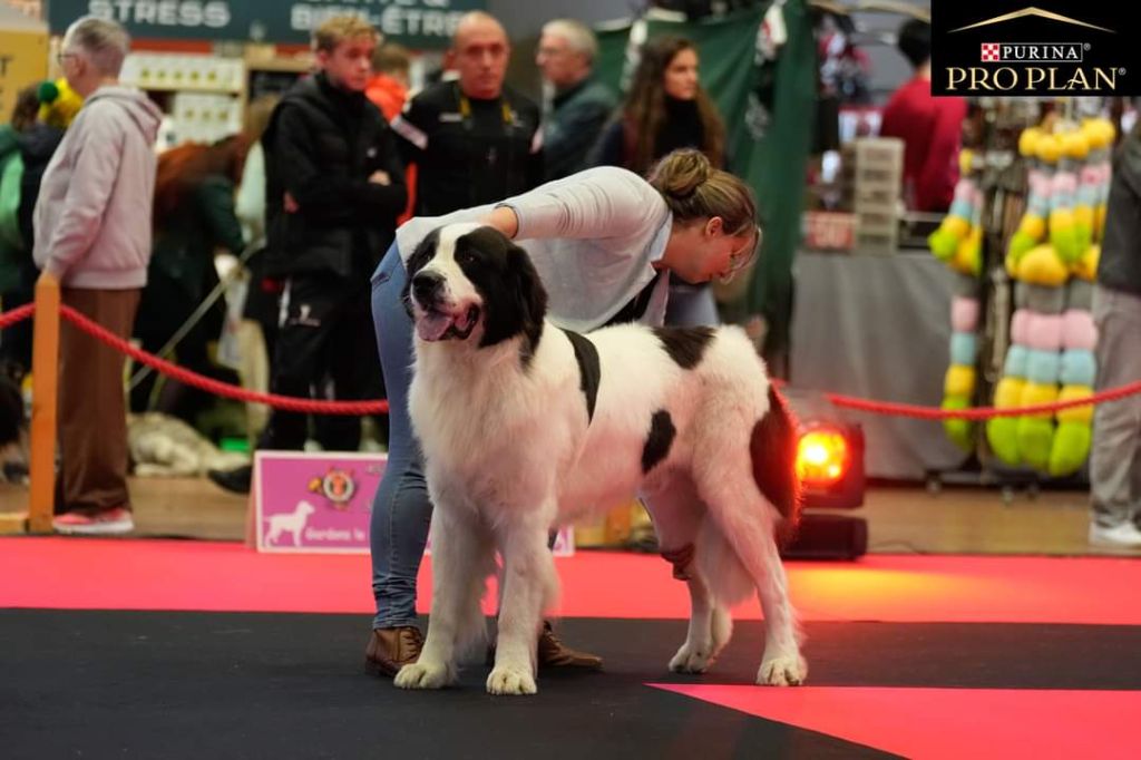 Du Domaine Du Boutlande - Salon de l'agriculture 2024